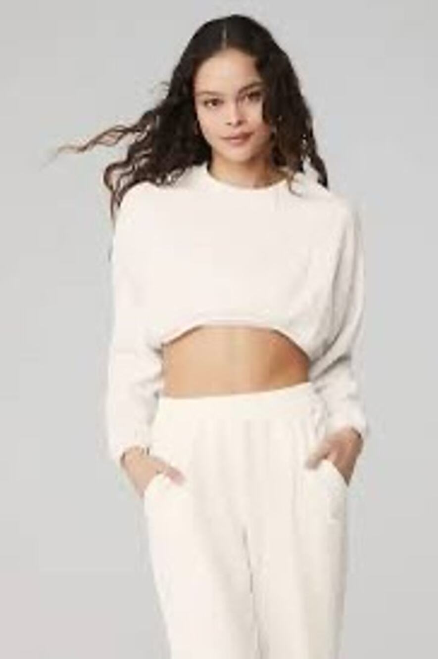 Alo crop top long sleeve